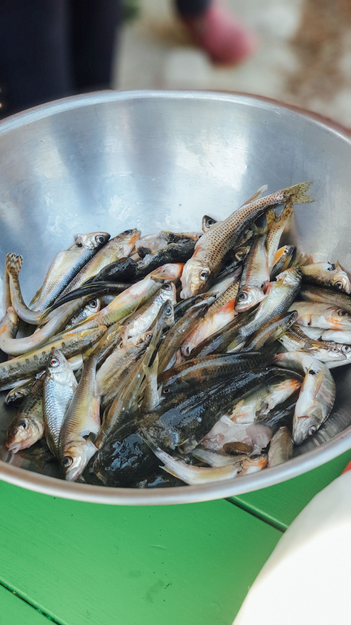 6시 내고향 촬영 67